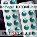 Kamagra 100 Oral Jelly dapoxetine2